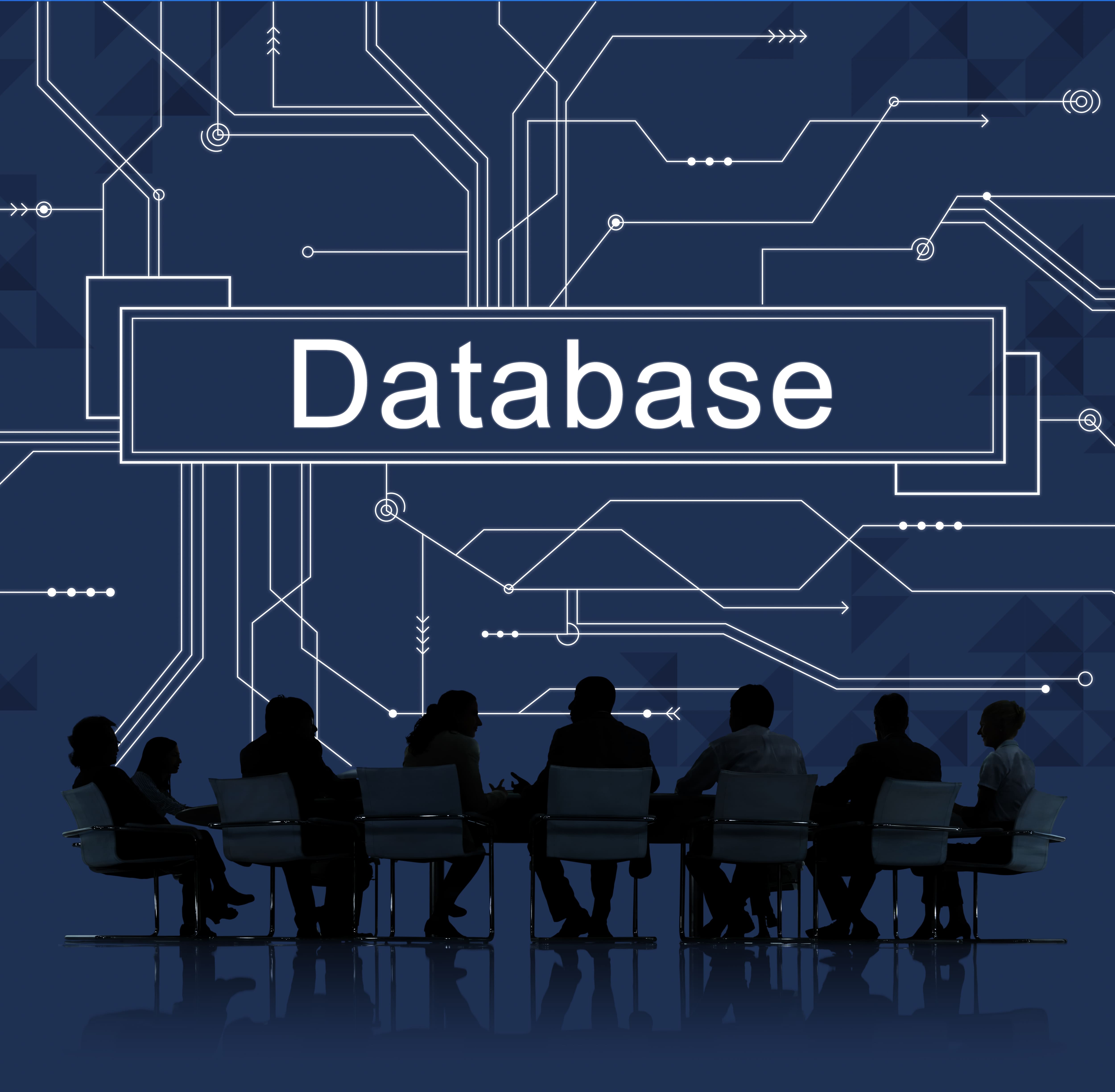 SQL Database Code